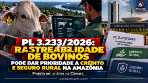 PL 3.233/2026: rastreabilidade de bovinos pode dar prioridade a crédito e seguro rural na Amazônia