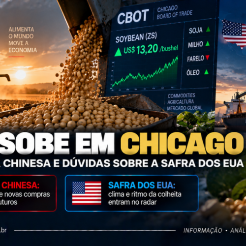 Soja sobe em Chicago com demanda chinesa e dúvidas sobre a safra dos EUA